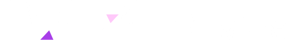 VSDinside
